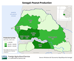 images\SG\cropprod\Senegal_Peanut_preview.png